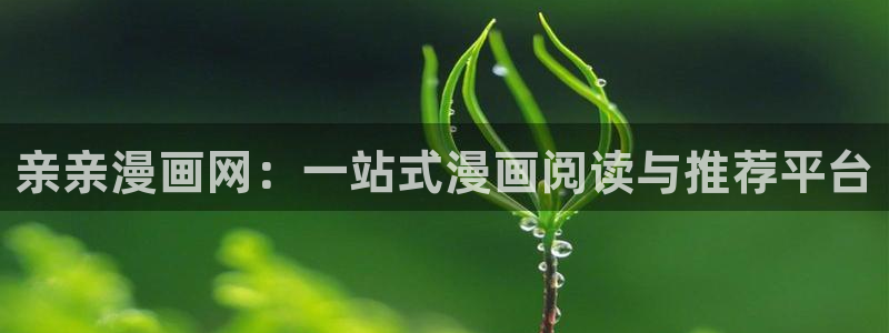 虫虫漫画下拉式：亲亲漫画网：一站式漫画阅读与推荐平台