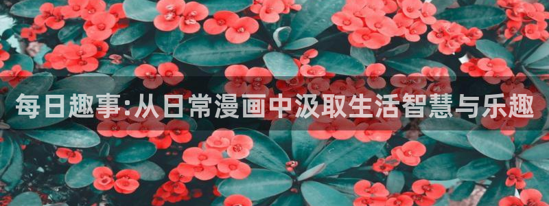 虫虫漫画软件：每日趣事:从日常漫画中汲取生活智慧与乐趣