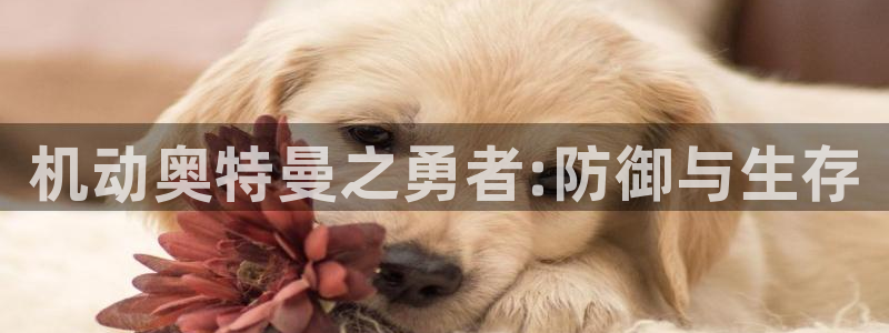 虫虫漫画网在线阅读免费阅读：机动奥特曼之勇者:防御与生存